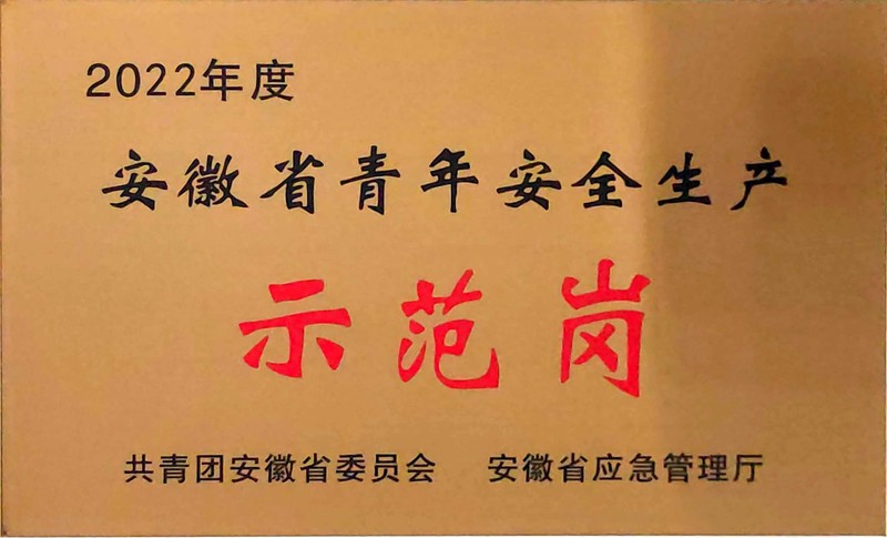 20230720队工勘院生态地质环境所获评2022年度安徽省青年安全生产示范岗.jpg